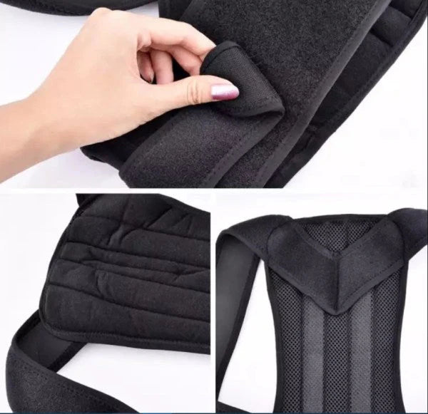 Back Support Belt