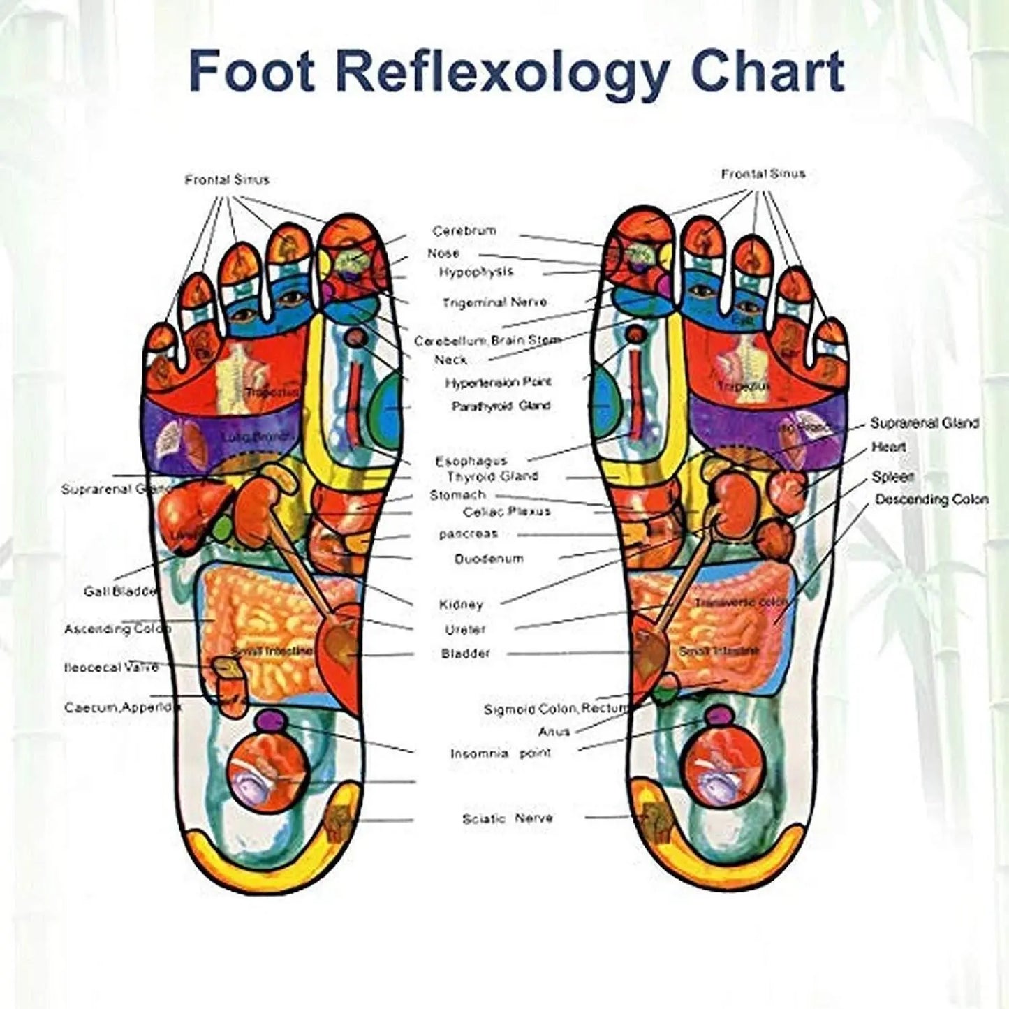 Kinoki Foot Patch