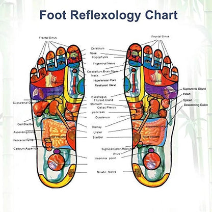 Kinoki Foot Patch