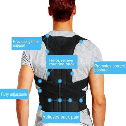 Back Support Belt