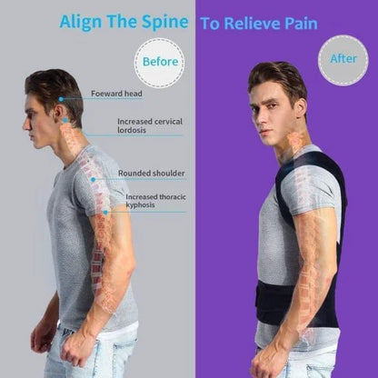 Back Support Belt
