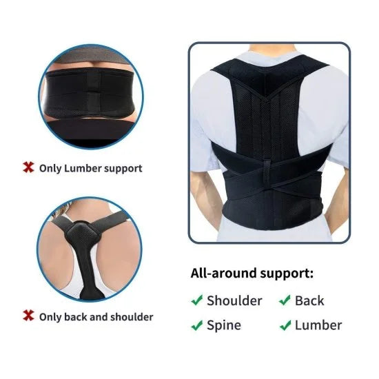 Back Support Belt