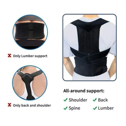 Back Support Belt