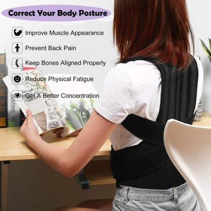 Back Support Belt