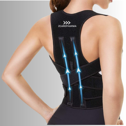 Back Support Belt